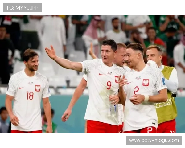 卡塔尔办赛经验丰富，U17世界杯组织工作顺畅专业